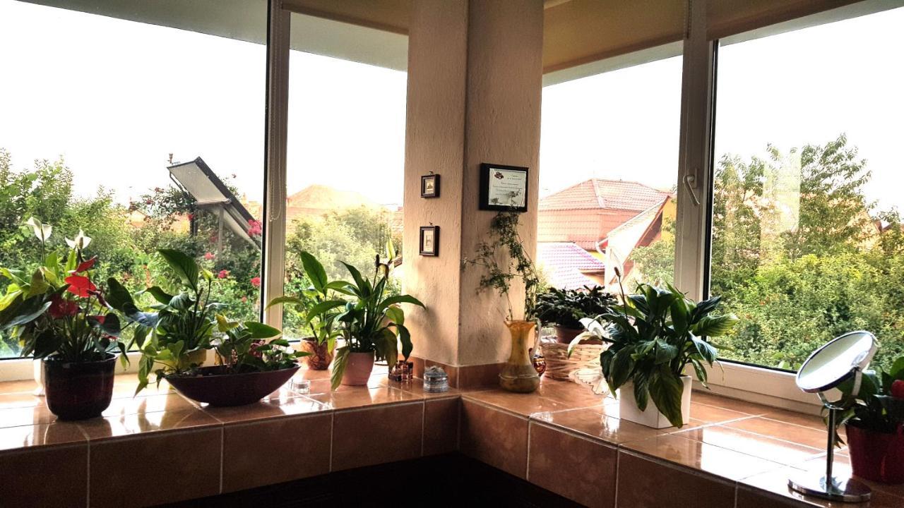 Apartament Casa Zora Alba Iulia Zewnętrze zdjęcie