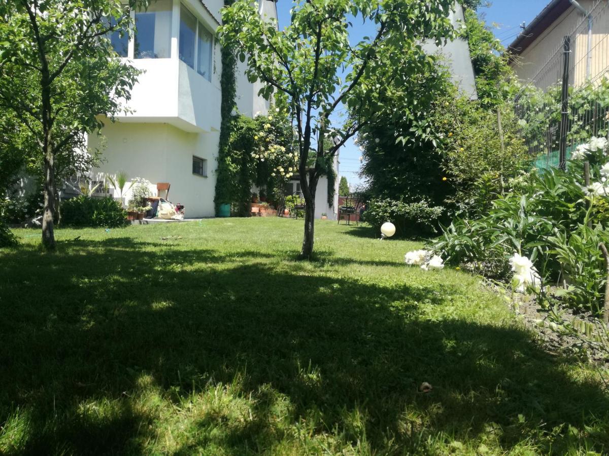 Apartament Casa Zora Alba Iulia Zewnętrze zdjęcie