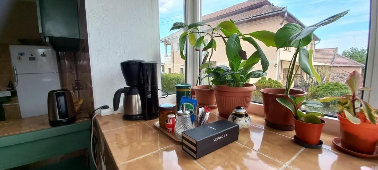 Apartament Casa Zora Alba Iulia Zewnętrze zdjęcie